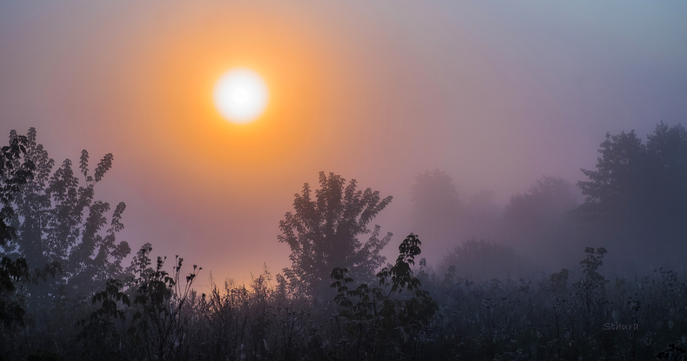 Рассвет у озера.