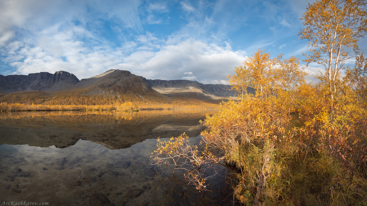"Золотые краски заполярья"