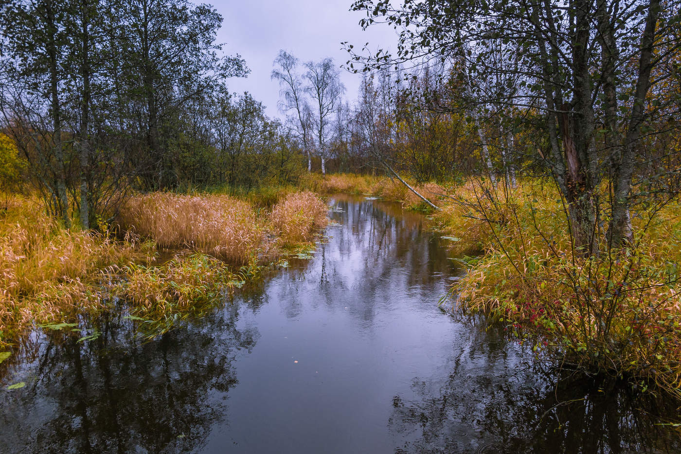 Ручей Пристанный.