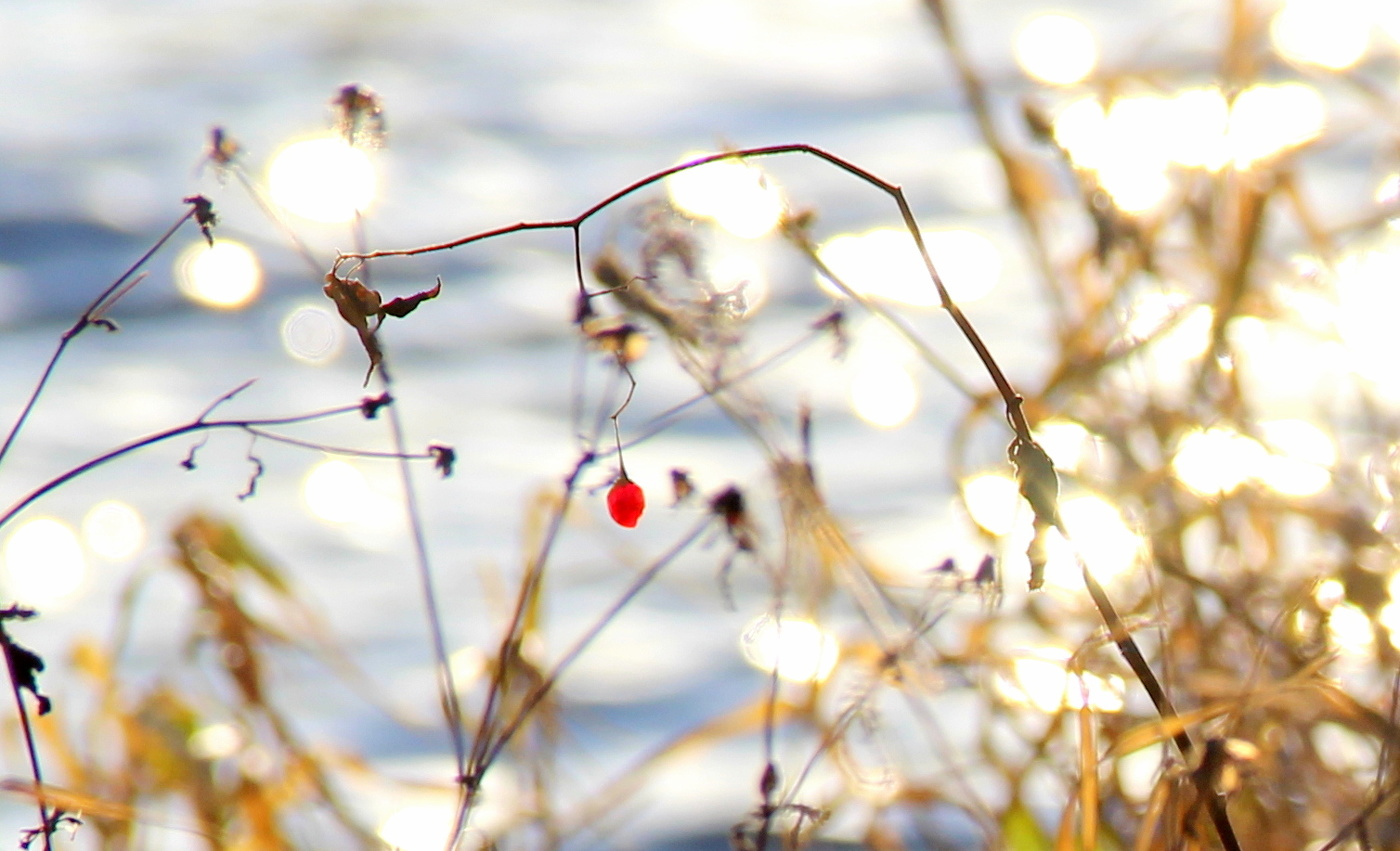 Осенний минимализм!