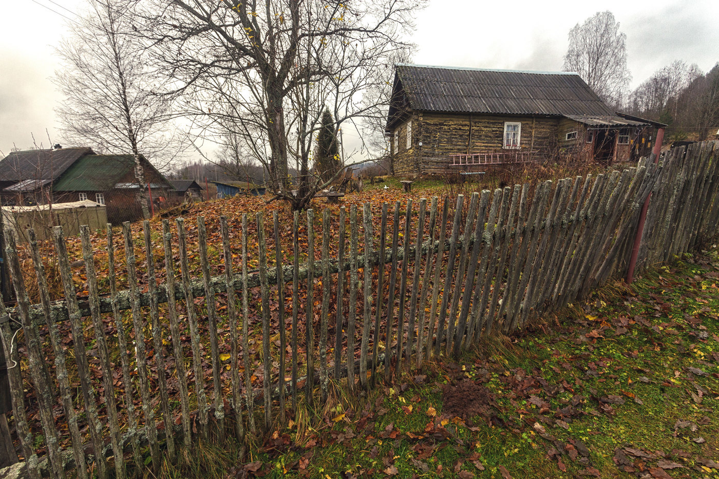 Жизнь вокруг