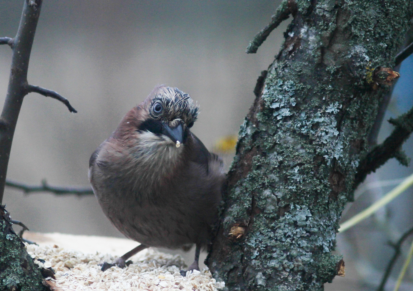 Вы нас не ждали