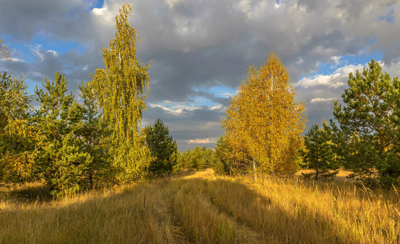 Ранней осенью.