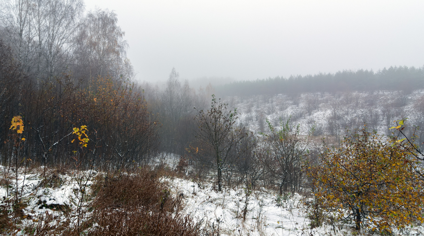 припорошило
