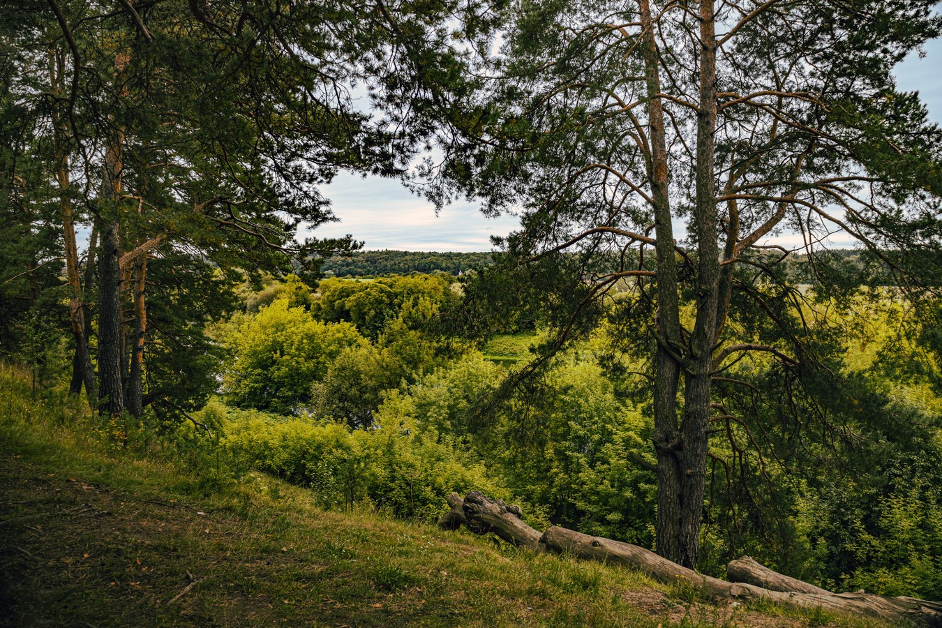 На крутом берегу