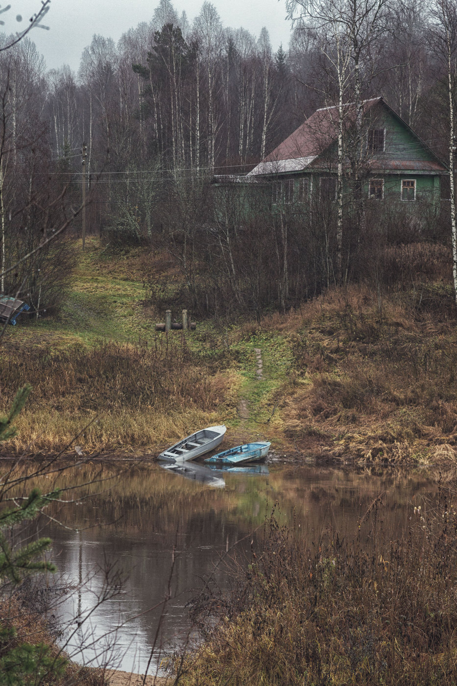 Жизнь вокруг