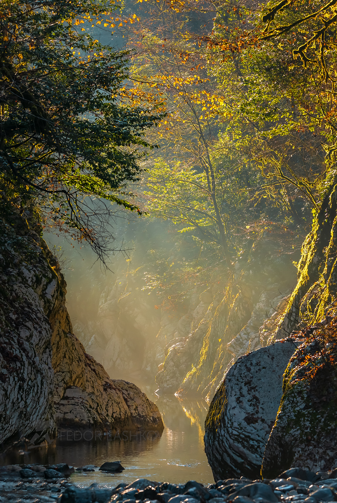 Утро на реке Хоста