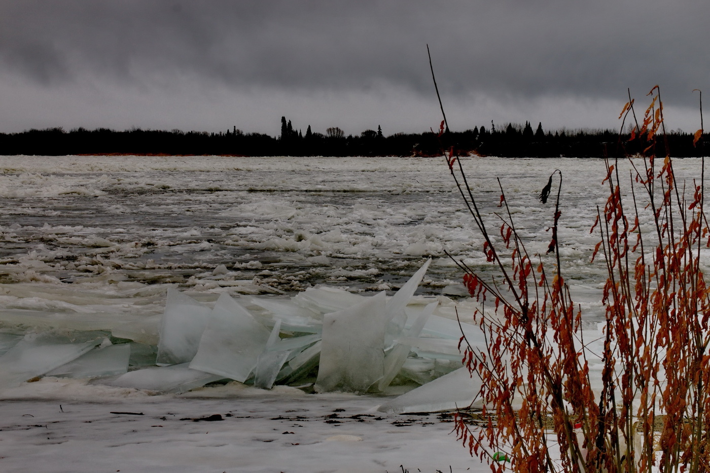 **Ноябрьским днём на Томи.*