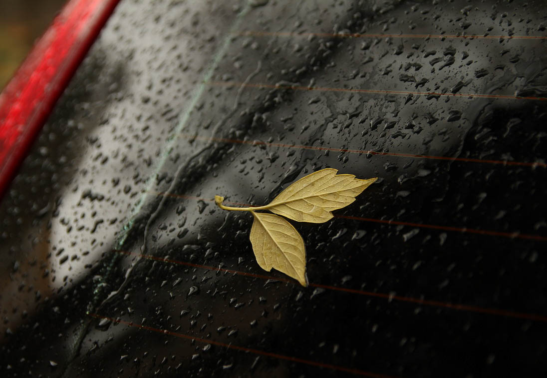 Однажды осенью дождливой...