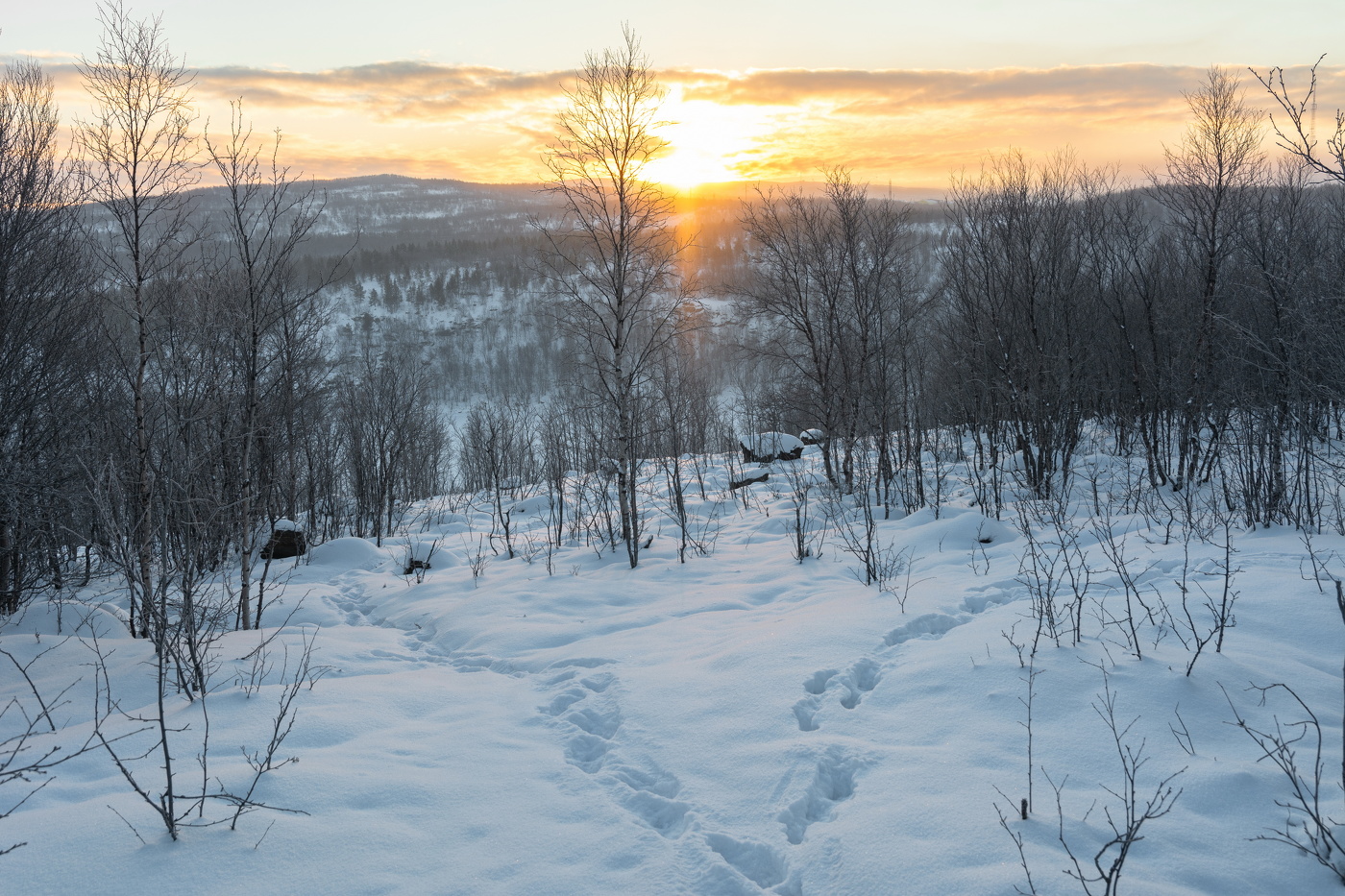 ноябрьское солнце