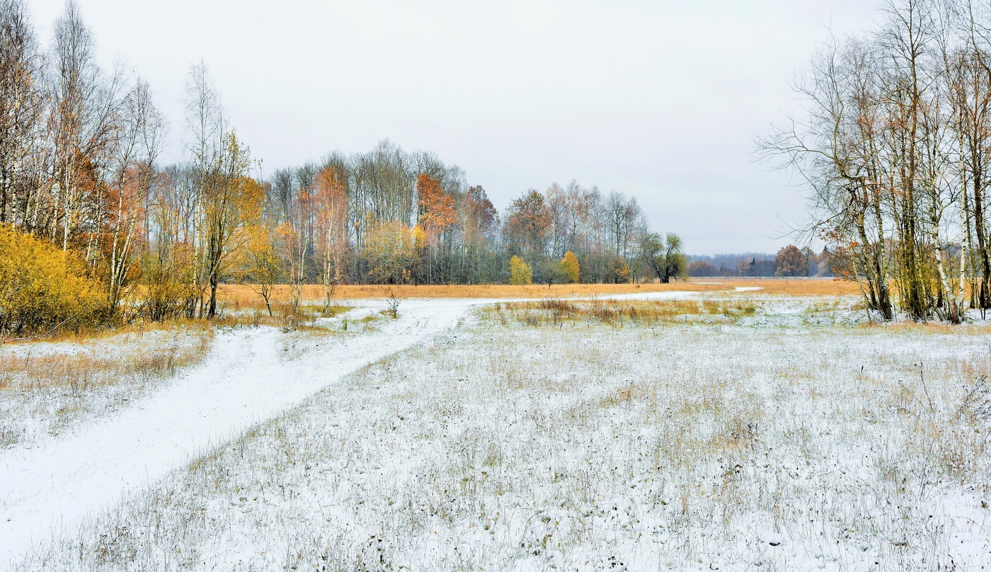 "На цыпочках, почти не слышно, к земле подкрался первый снег..."