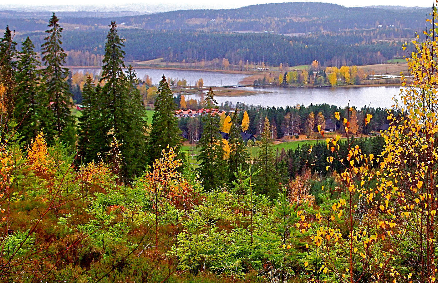 Предснежный месяц