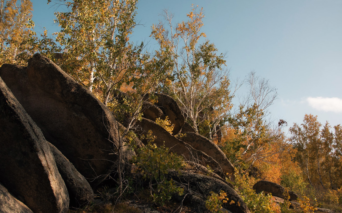 Слоёный пирог