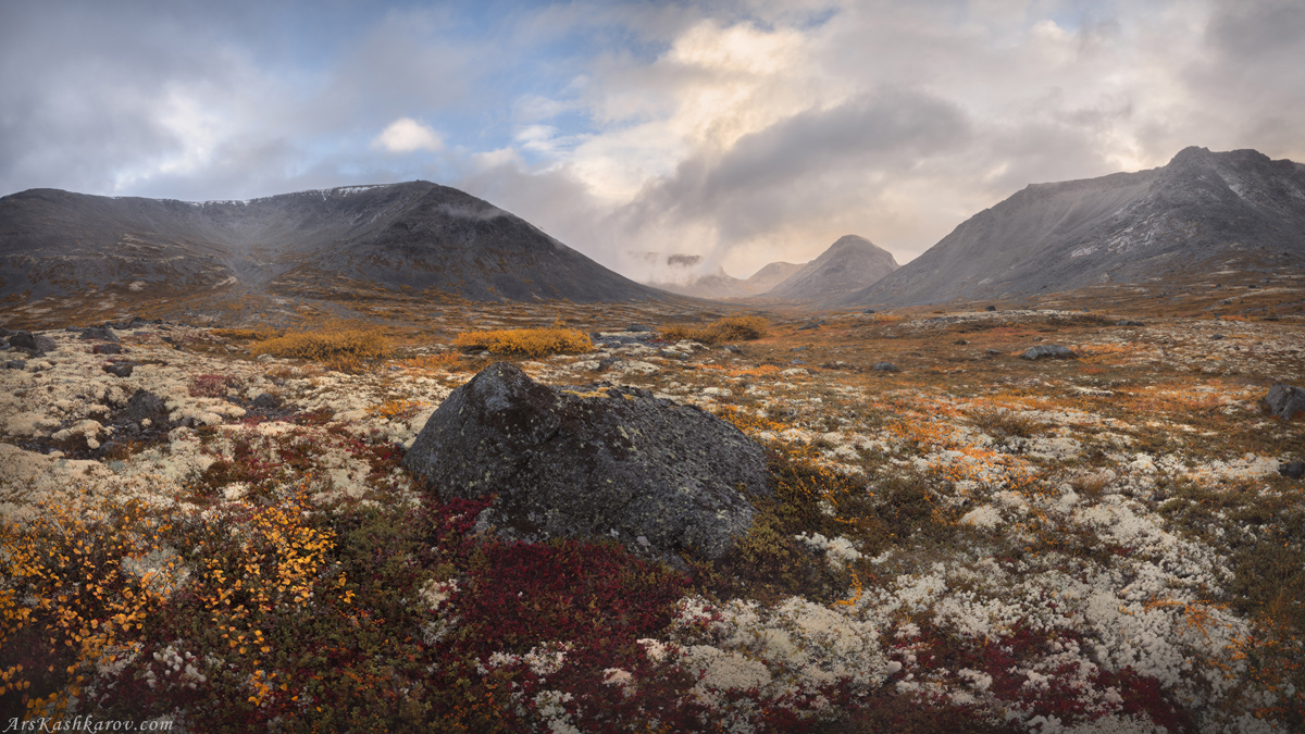 "Горная тундра"