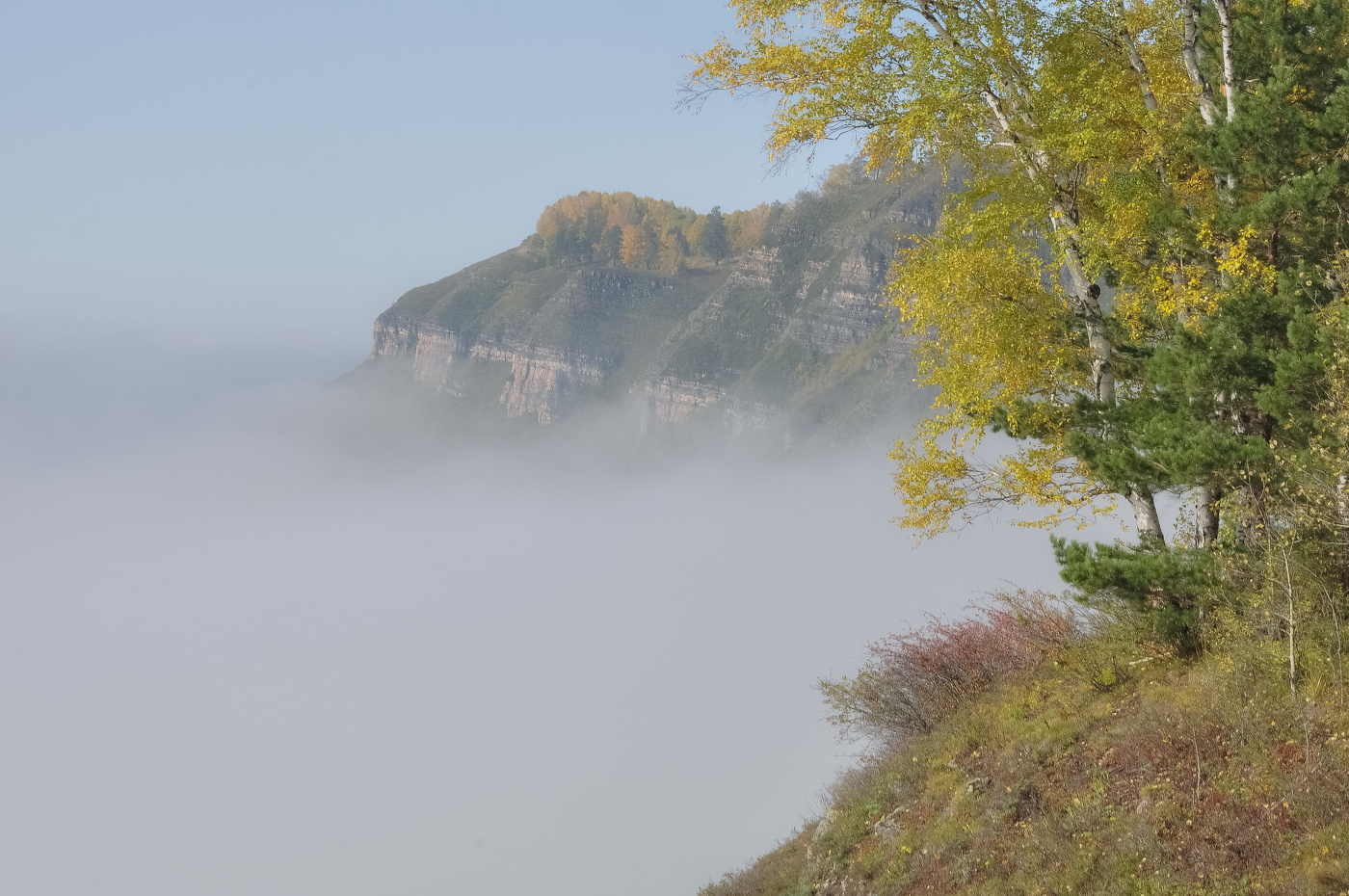 На утёсе в тумане