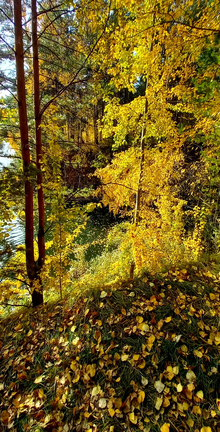 осенний пригорок