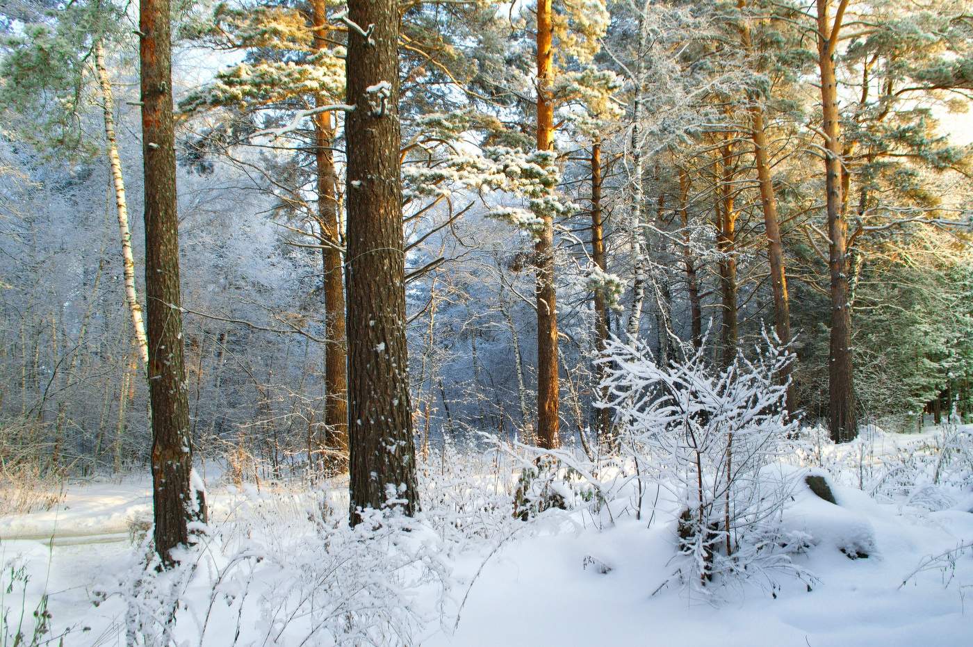 пришла зима
