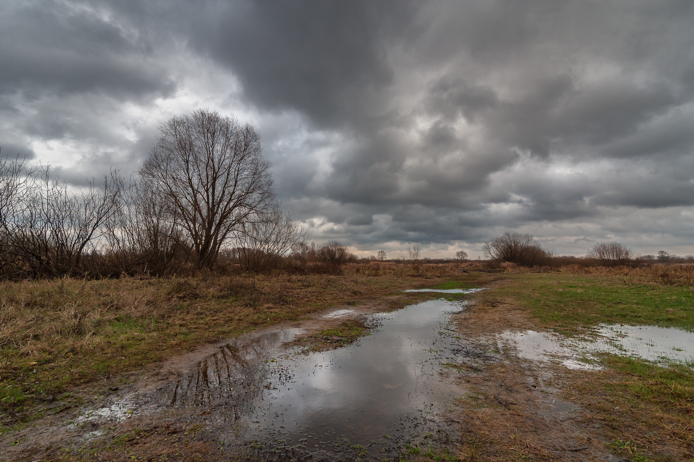 дождливая осень..