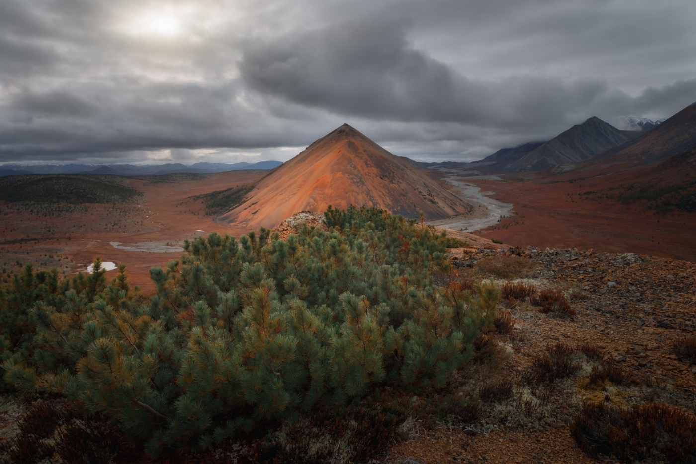 Якутский пасмурняк