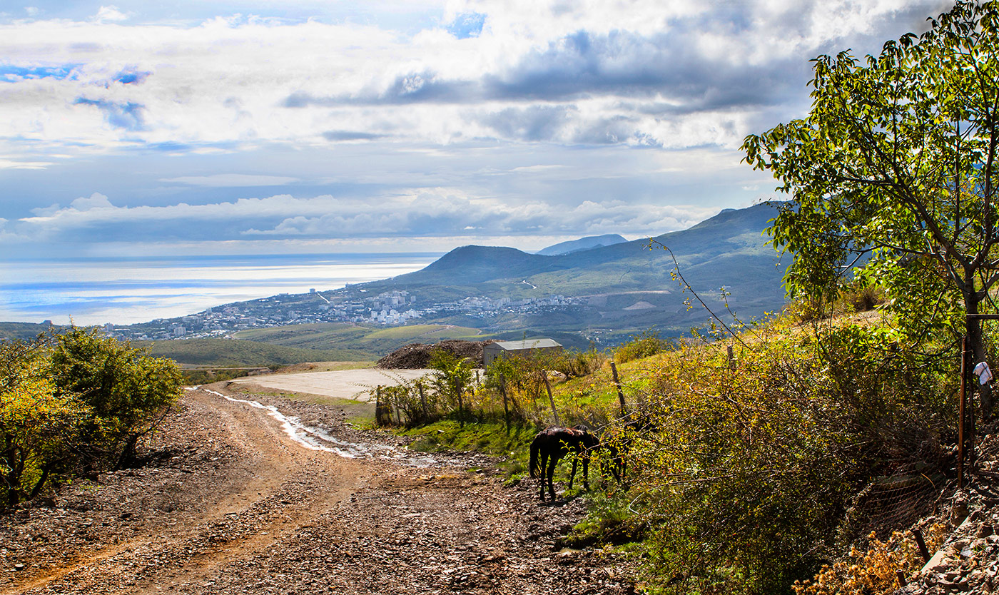Осенний пленэр. (репост)