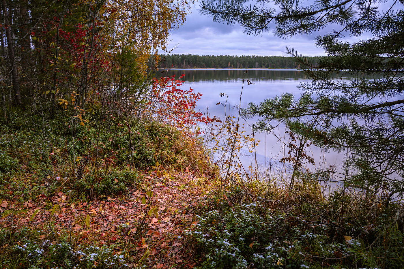 Краски октября.