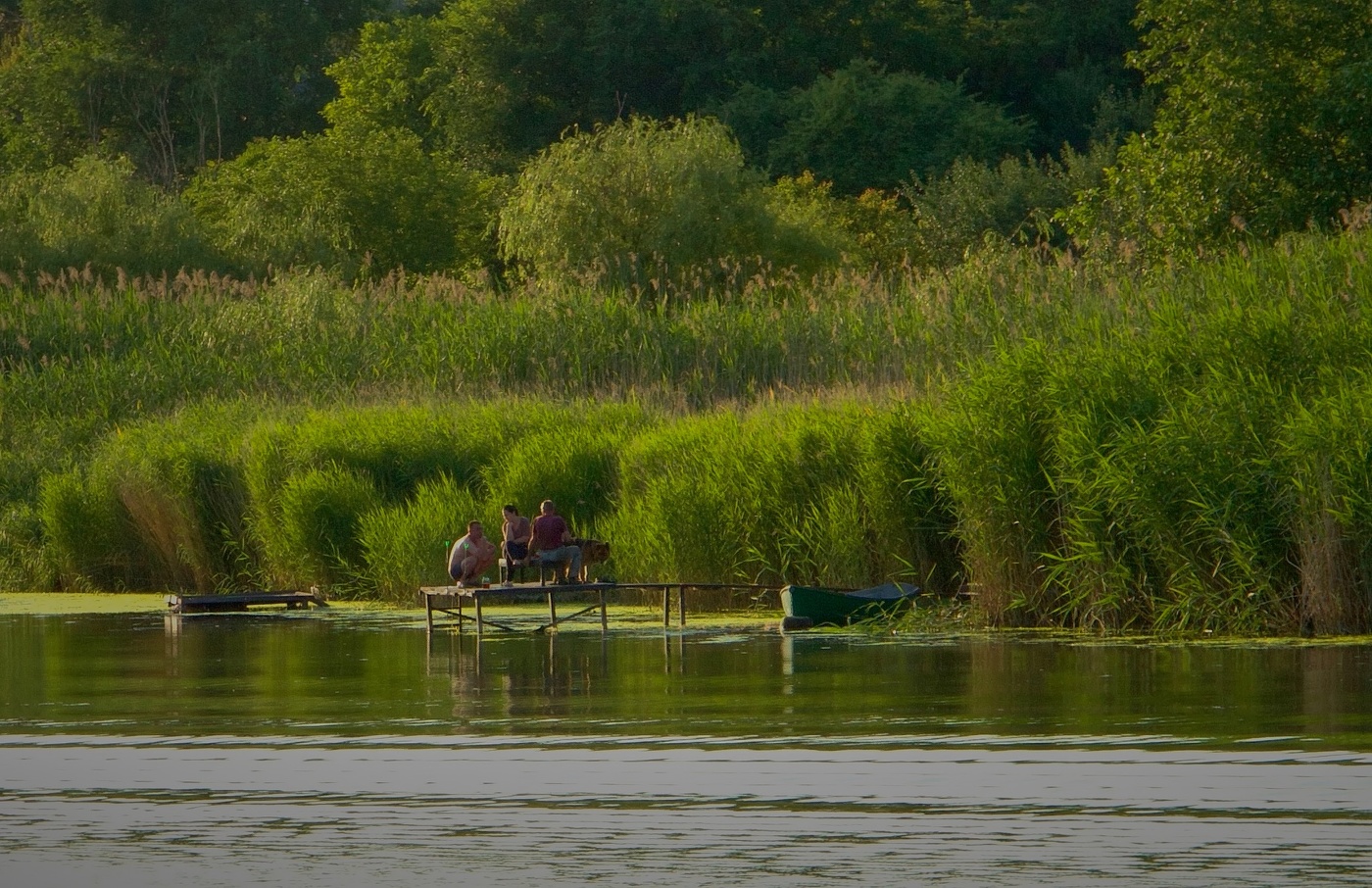 Банальная история