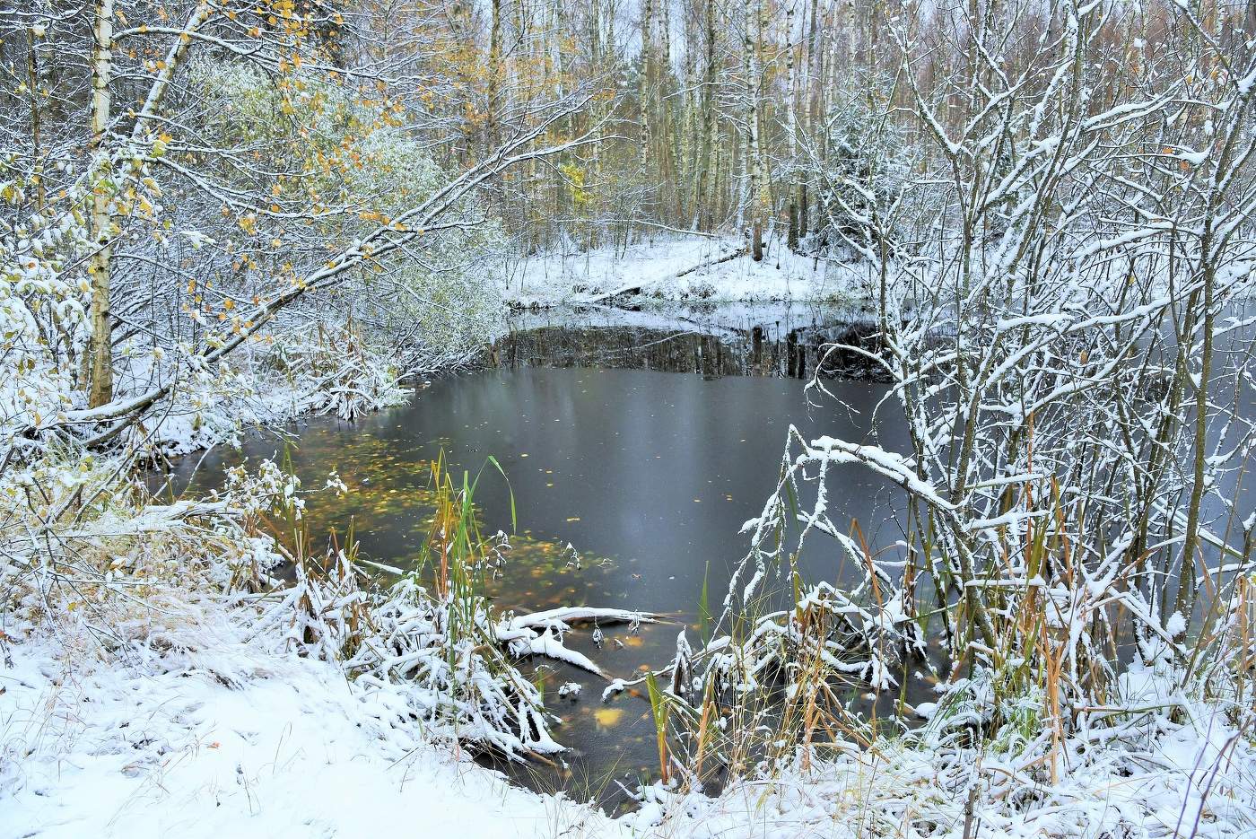 "Выпал снег и все забылось, чем душа была полна..."