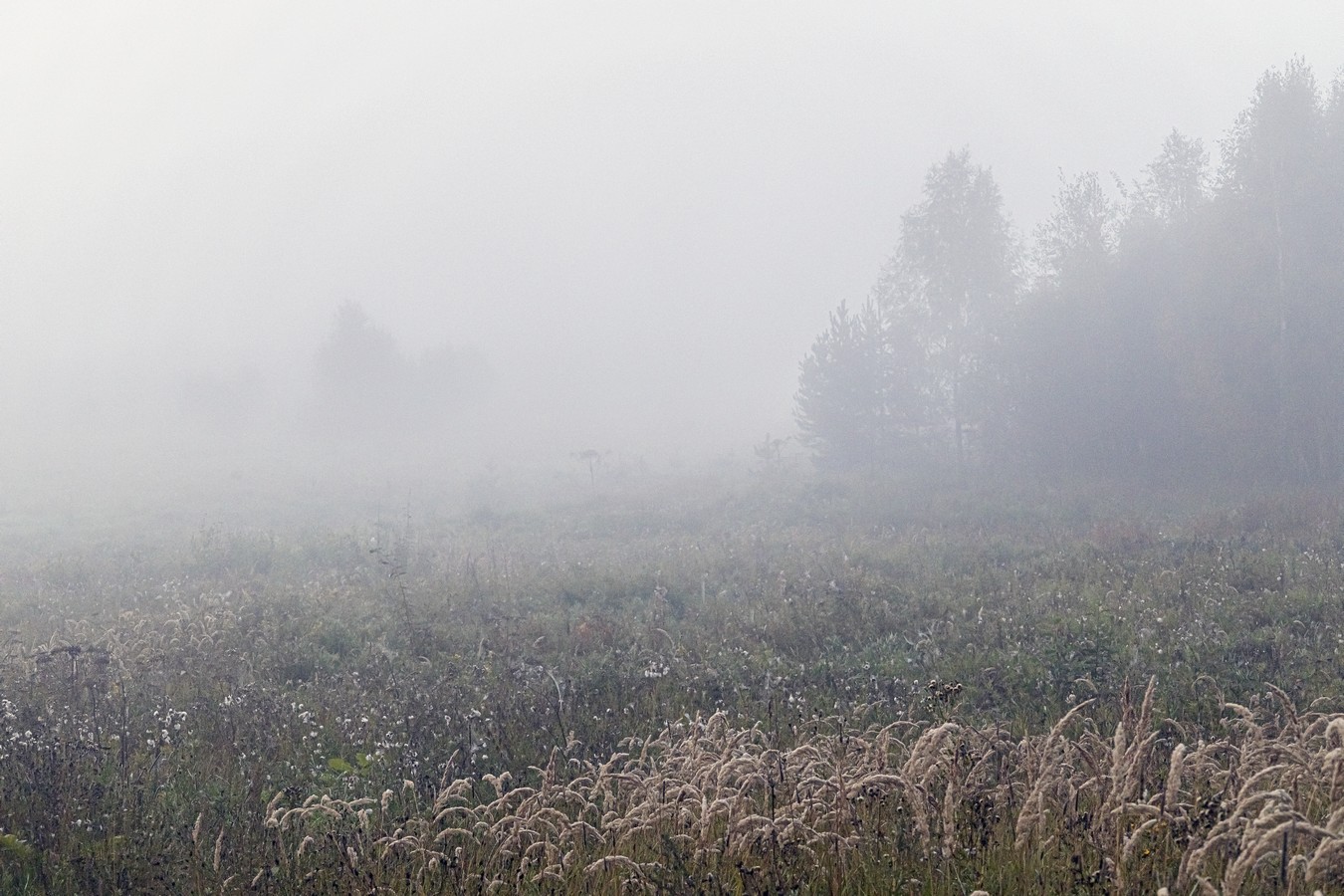 Однажды утром