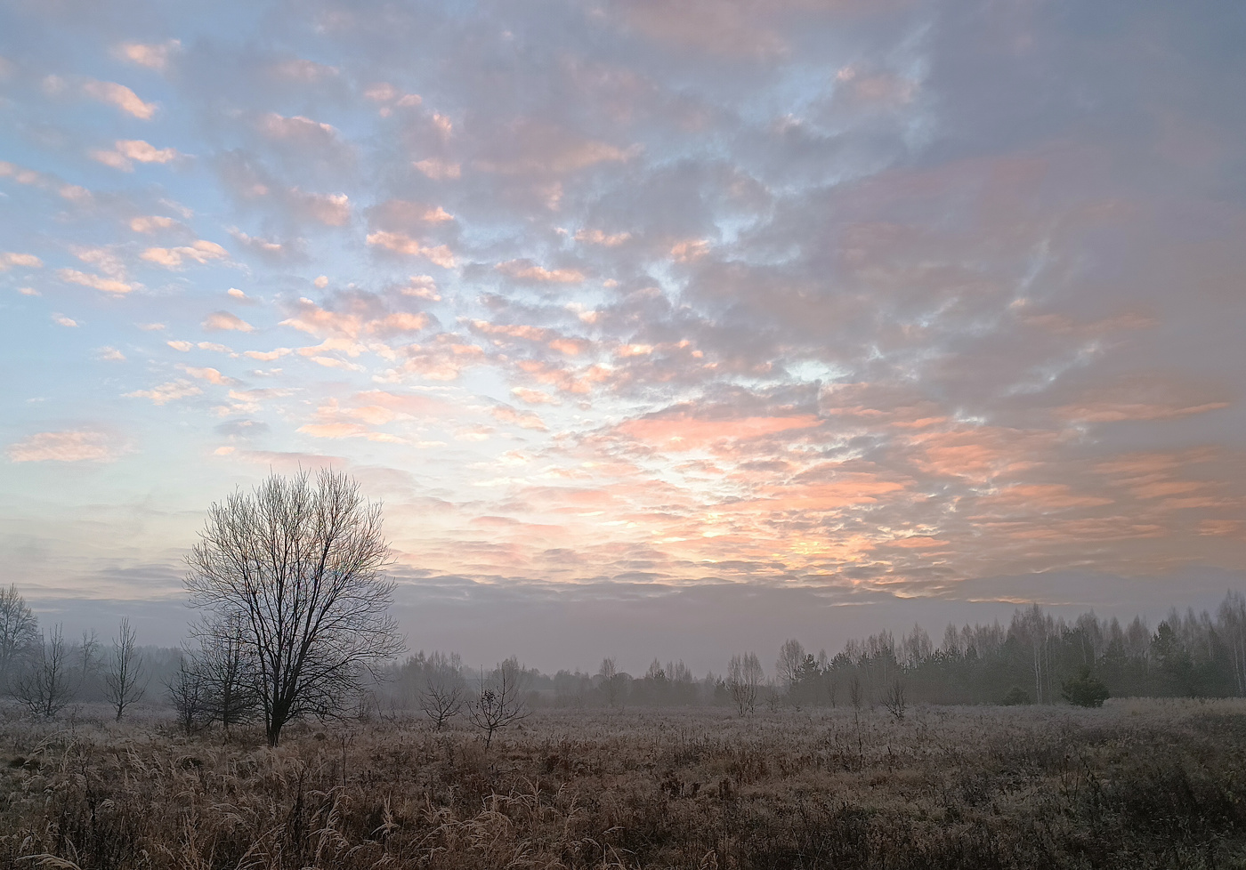 Рассветный час