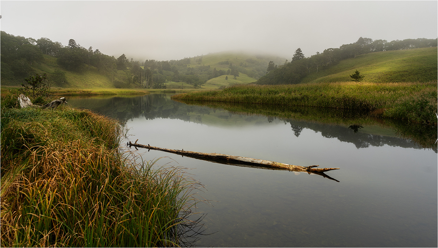 Туманное утро...