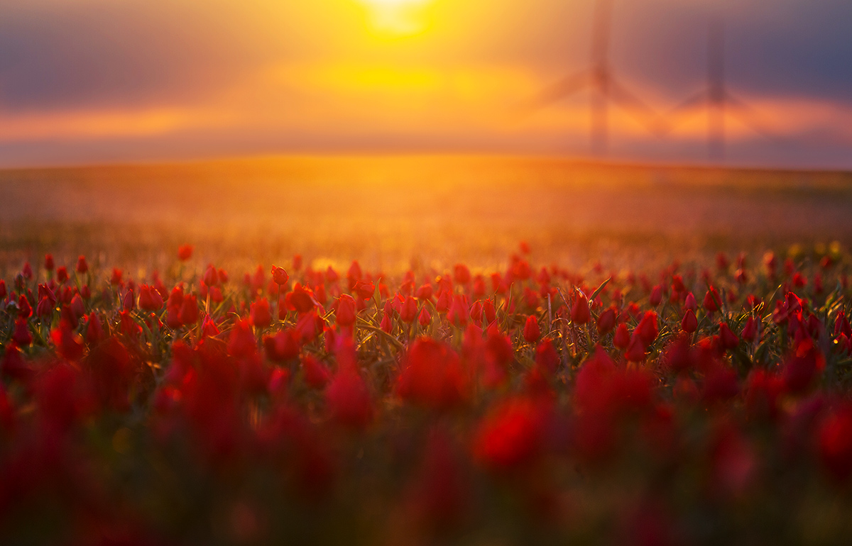 Закат в конце апреля