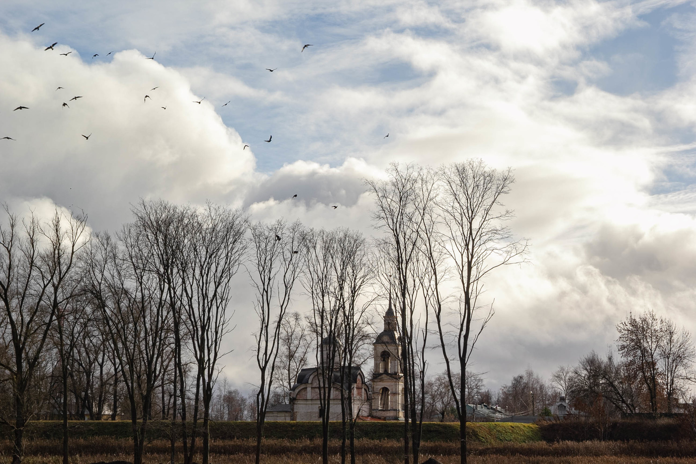 Снова птицы в стаи собираются...
