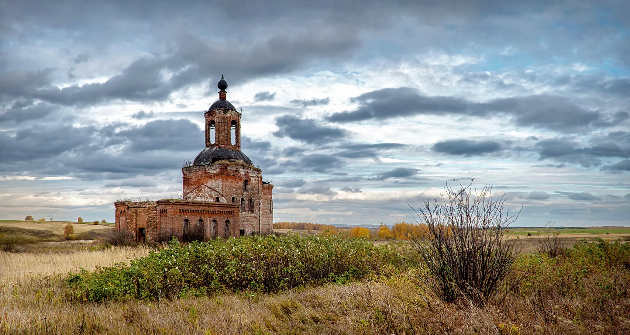Смотрящая в даль.