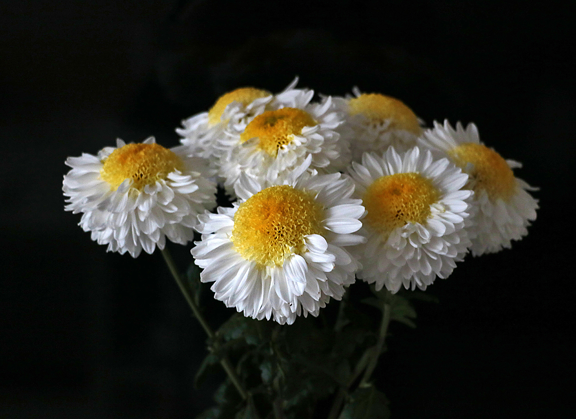 "Яичница-глазунья"