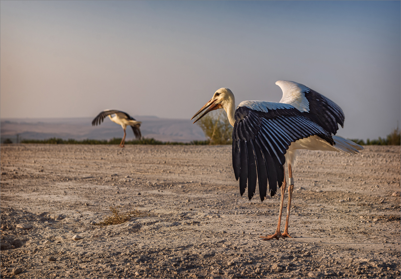 Приземление