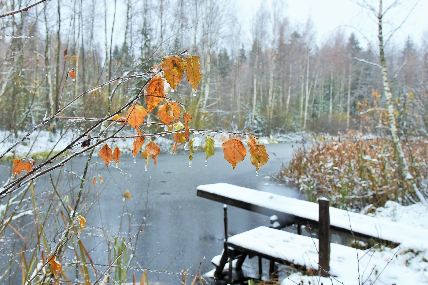 "Я ухожу" - сказала осень. "Пора" - шепнула вслед зима...