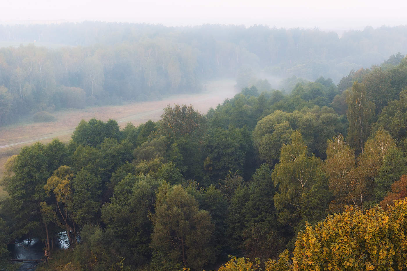 Осенний лес с видом на речку