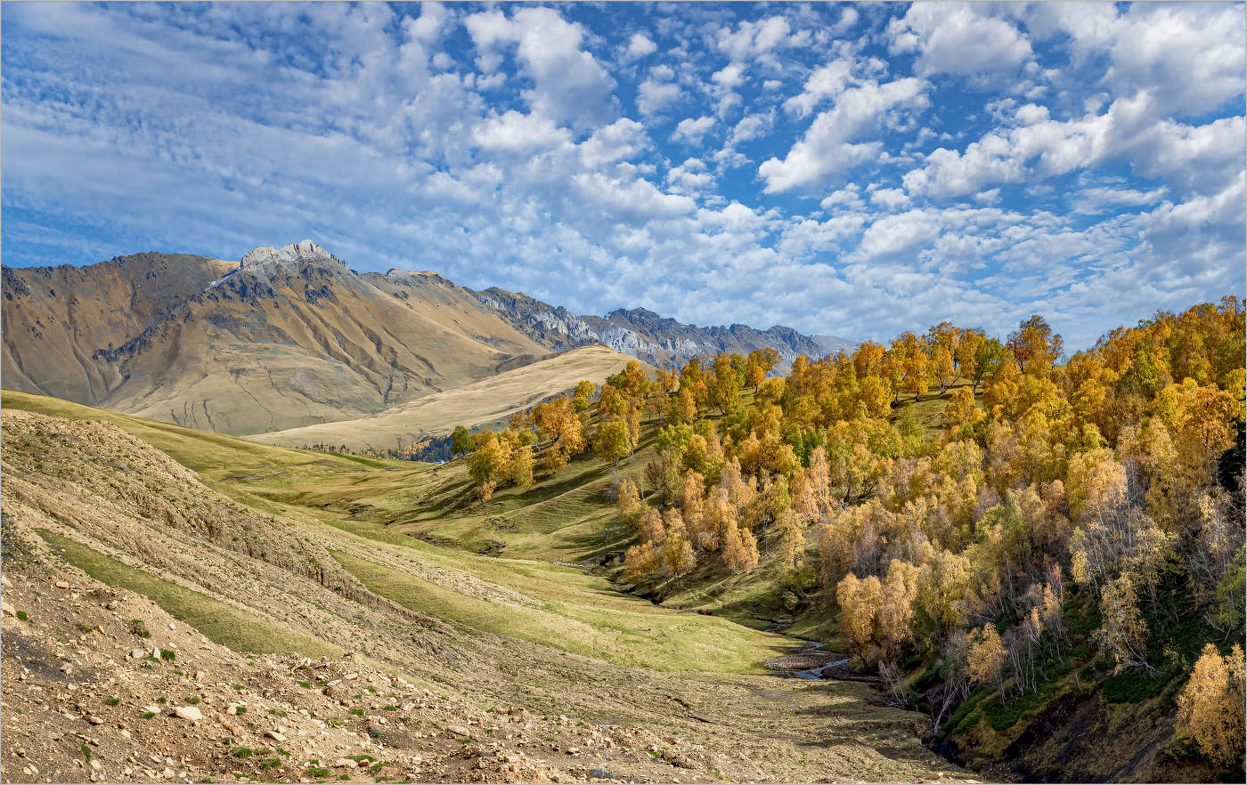 Осенняя пора