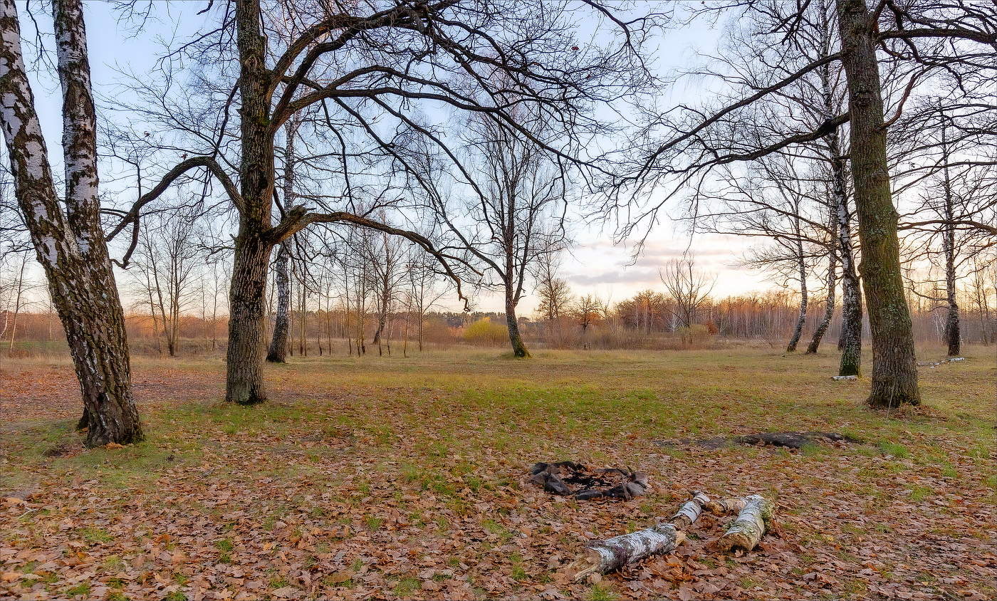 ОТШУМЕЛА РОЩА ЗОЛОТАЯ...