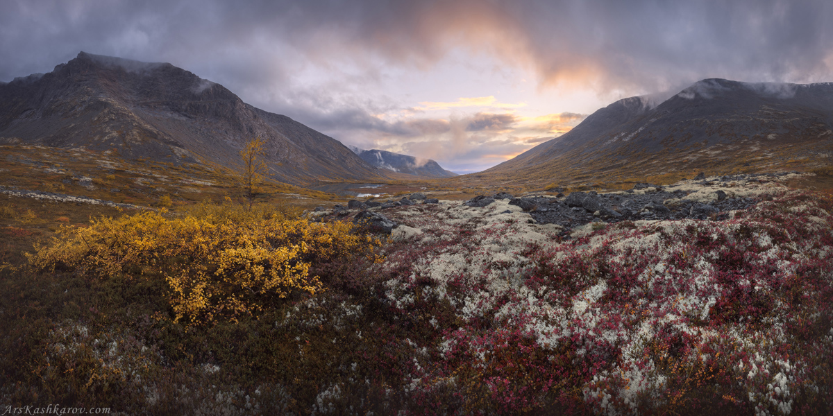 "Хибинские тундры"