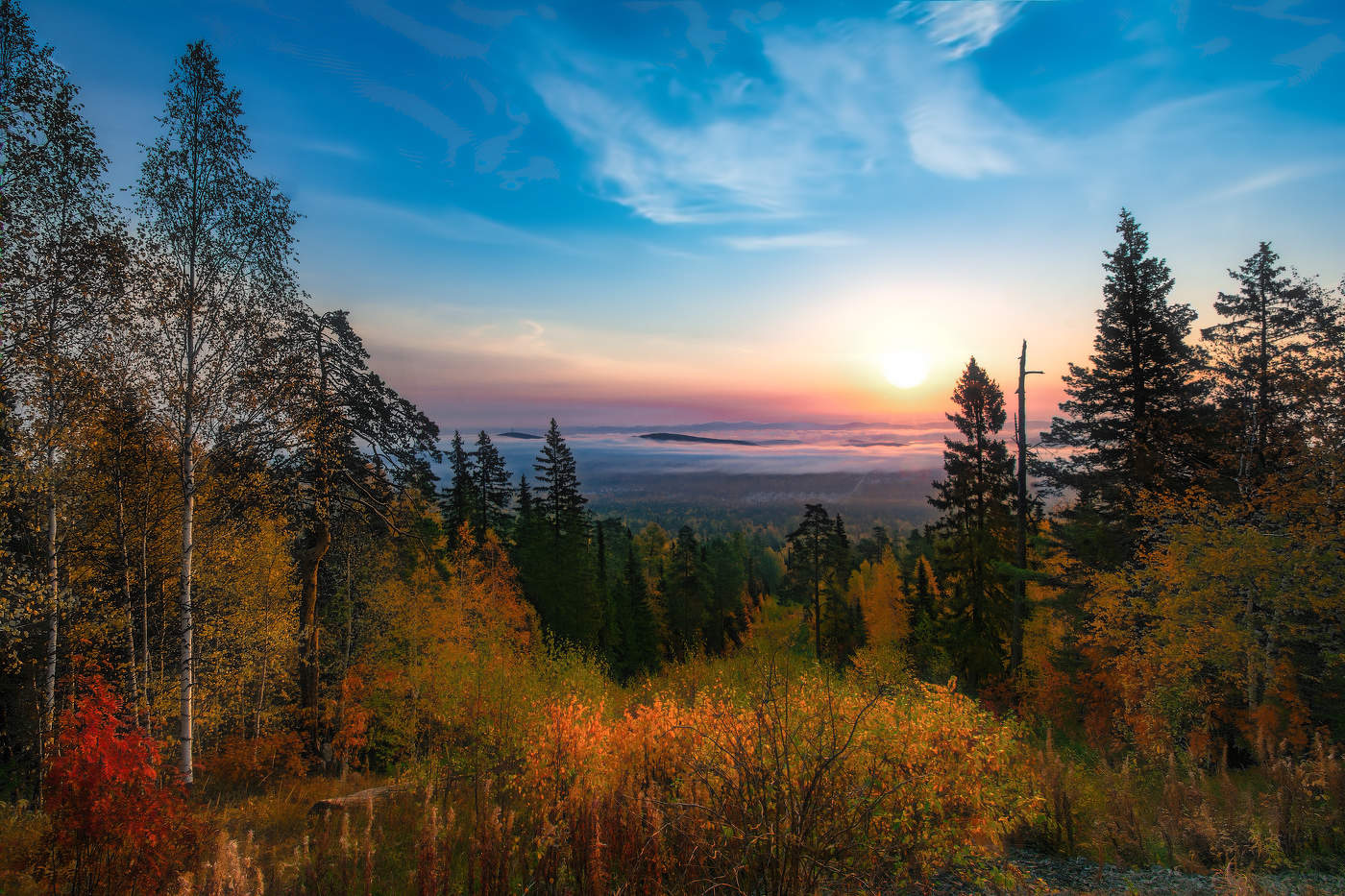 Осеннее разноцветье