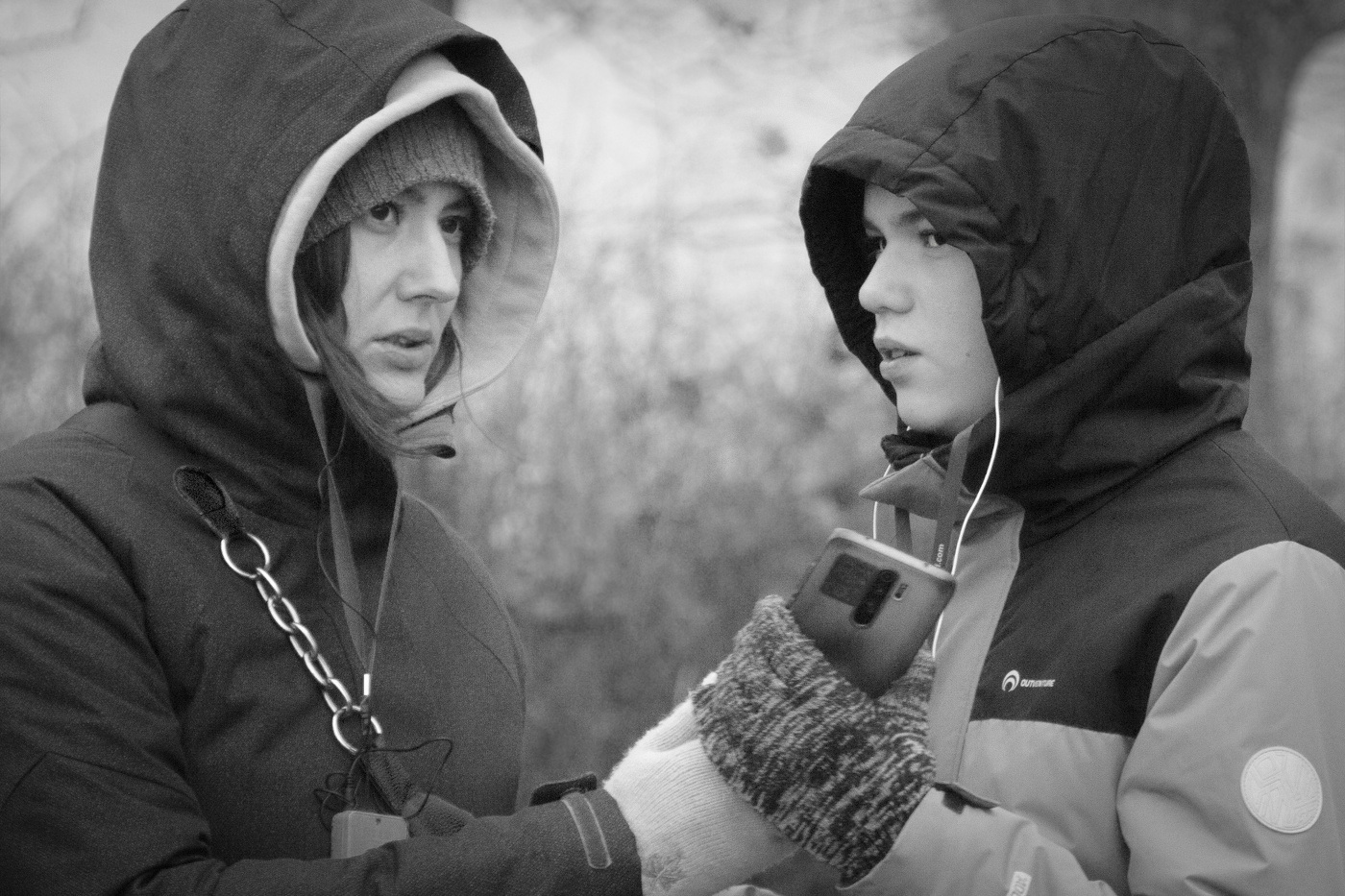 Родная кровь