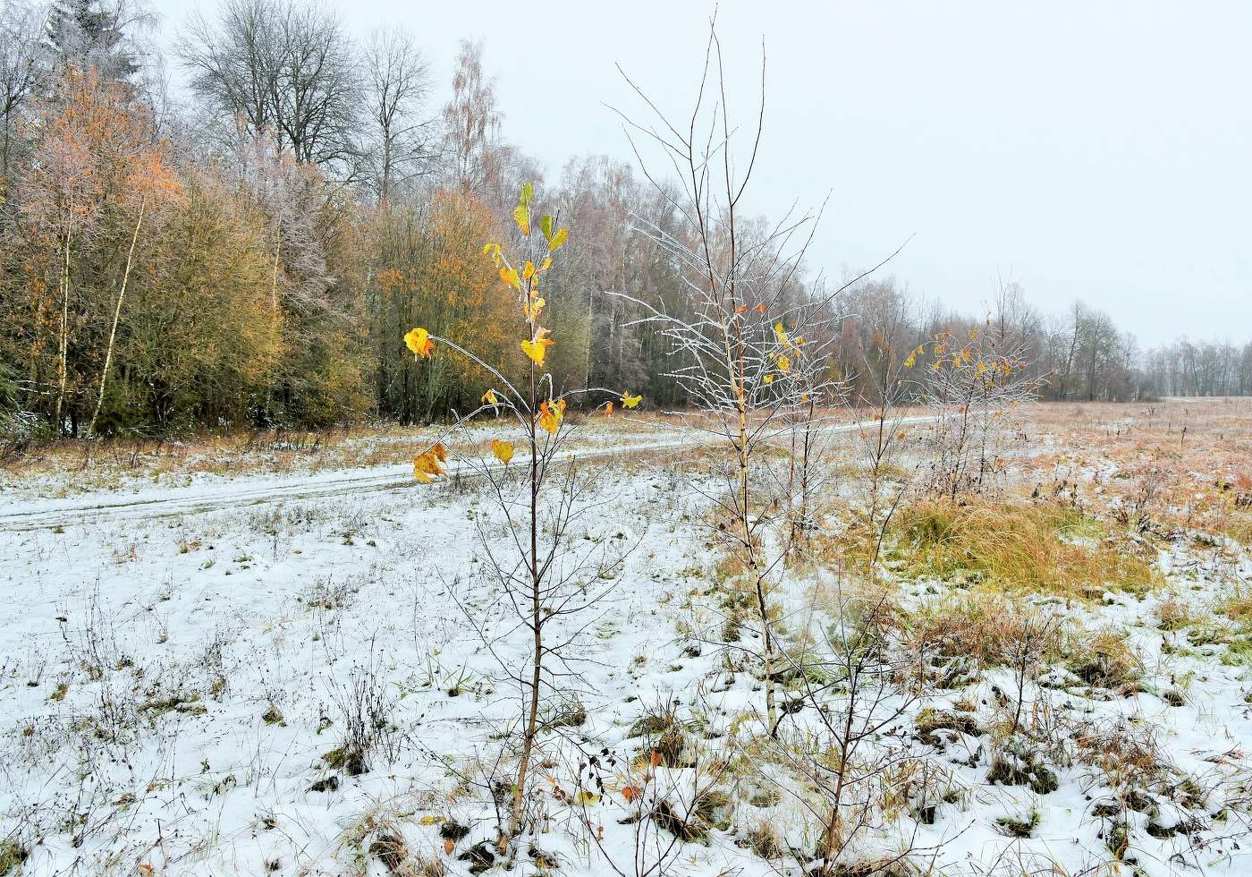"Дни поздней осени бранят обыкновенно, но мне она мила..."