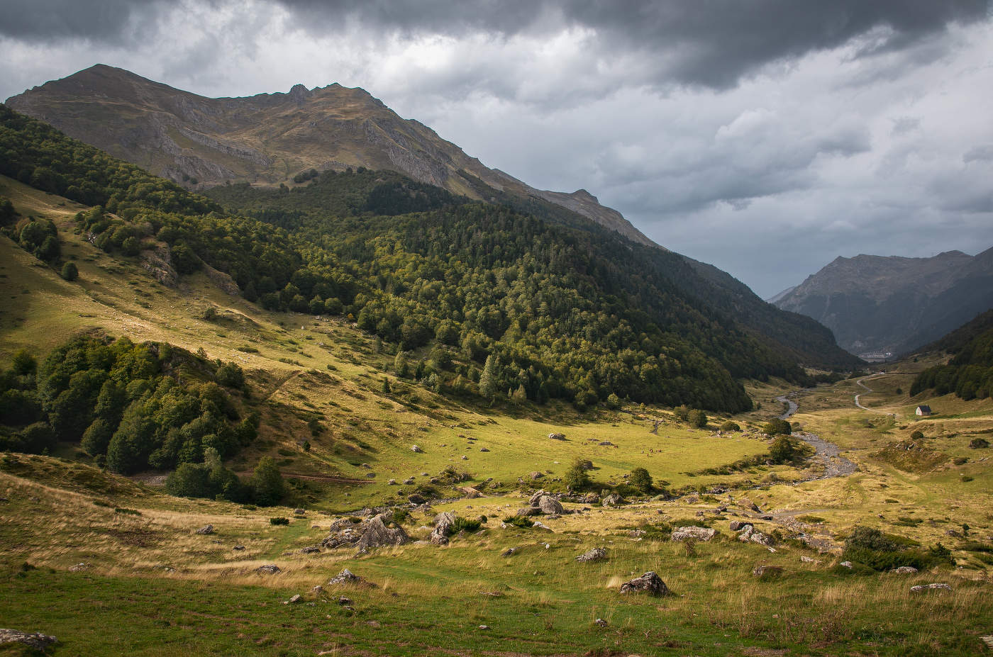Перед грозой...