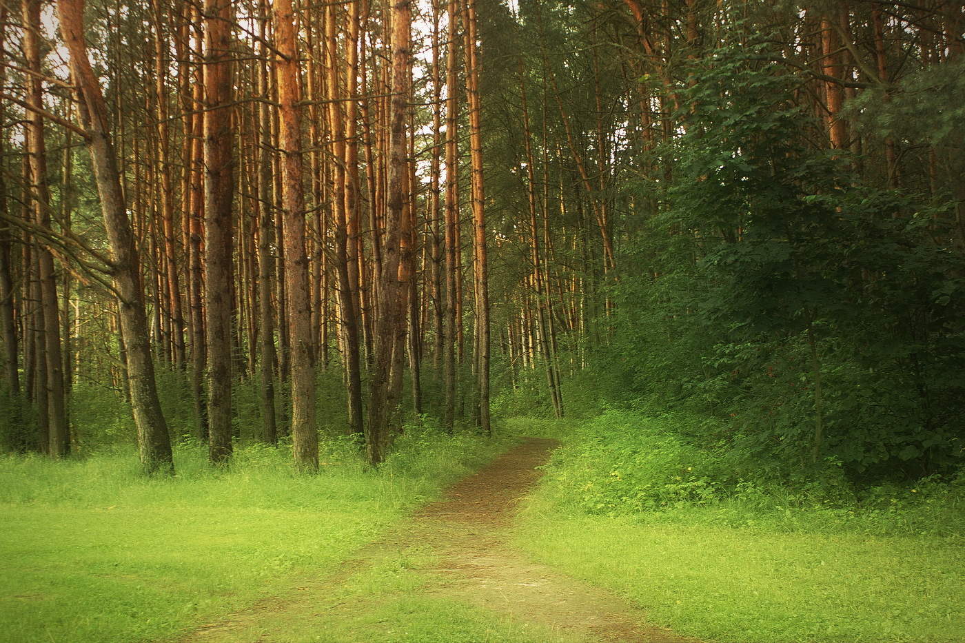 Вечерний променад
