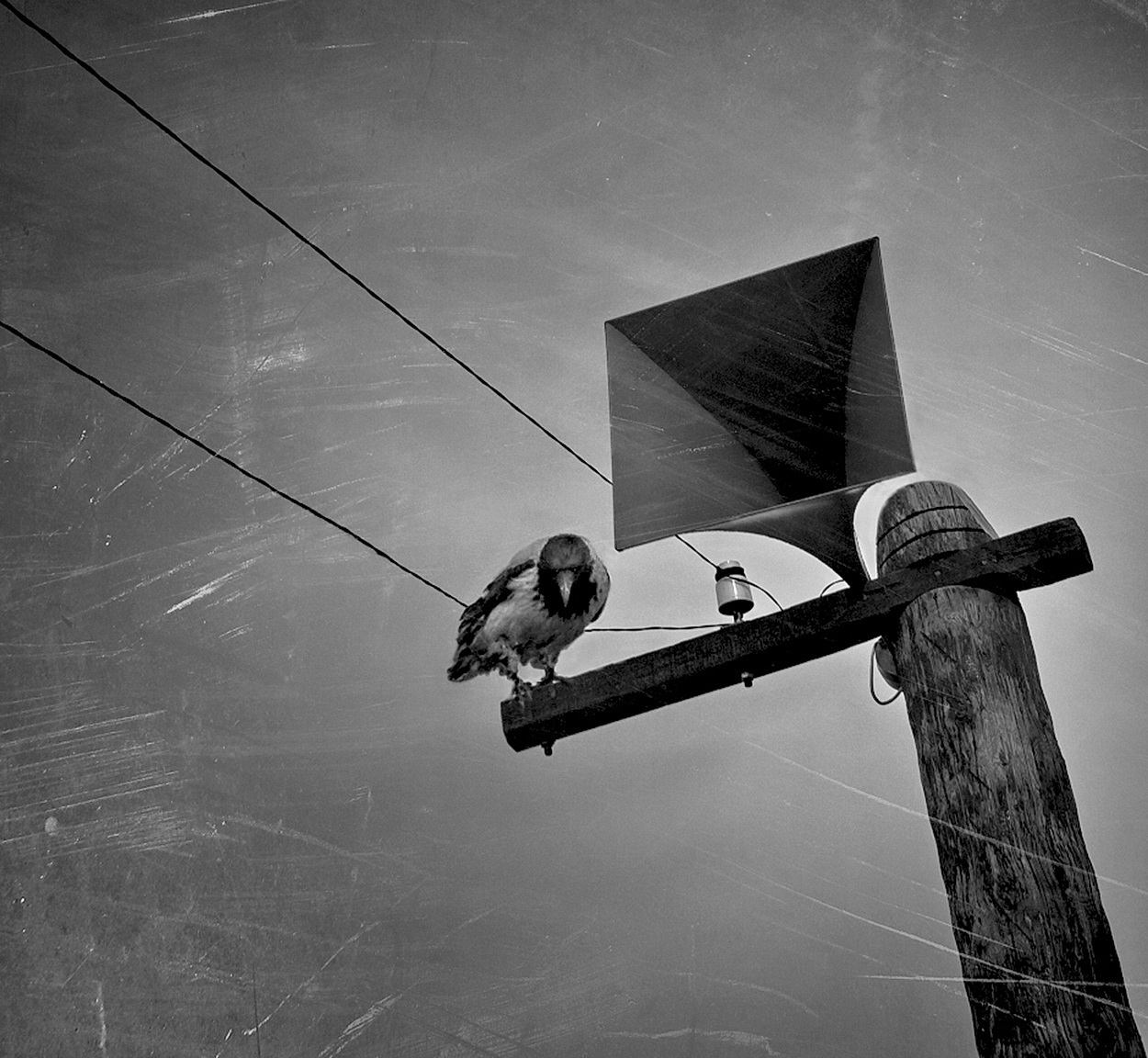 Говорит Москва,... и помехи !?