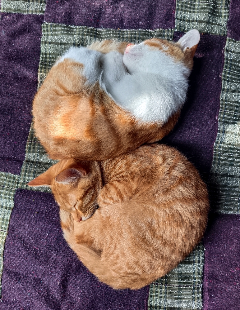 Плохая погода...