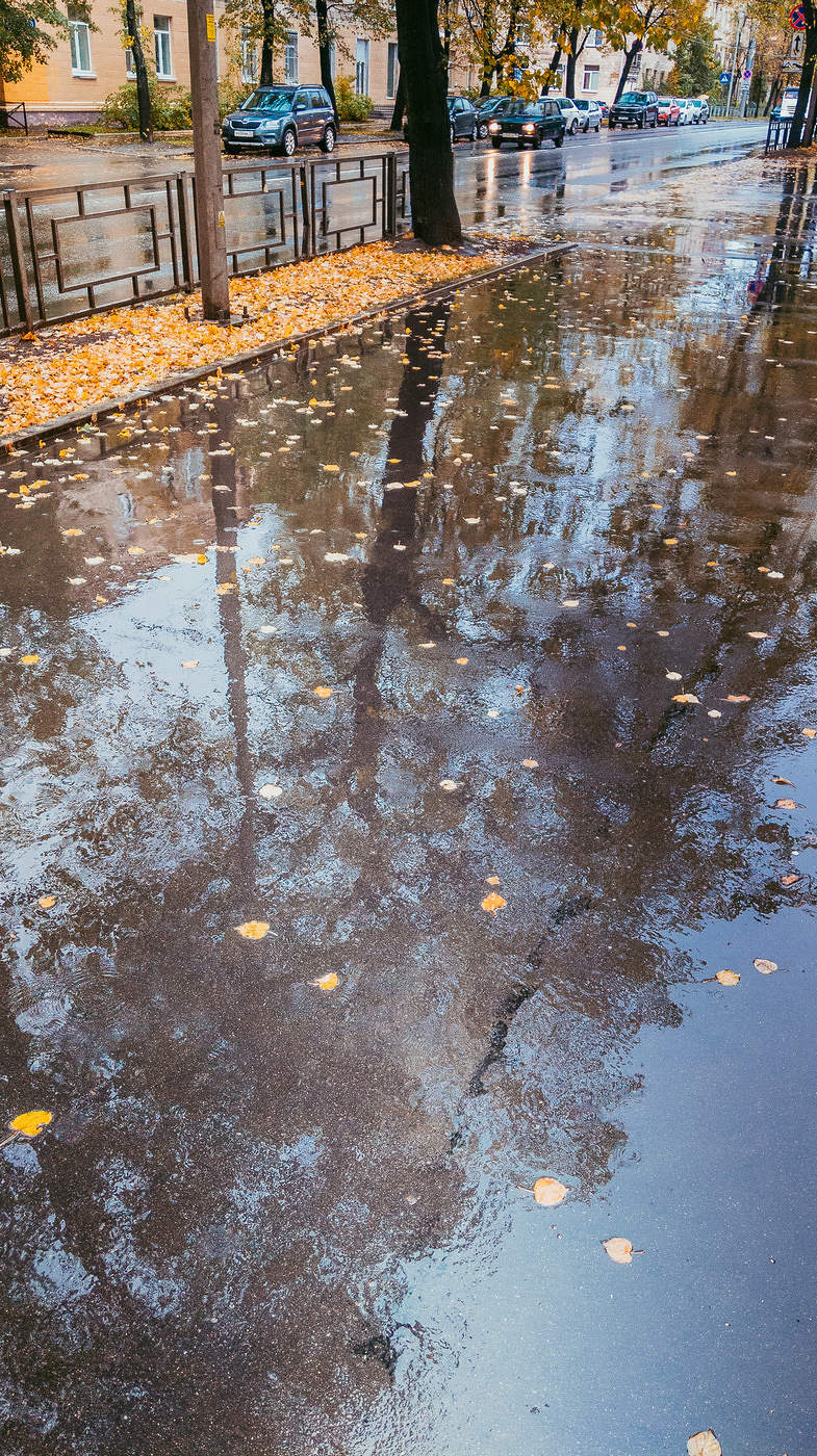 Осень для вдохновения 4