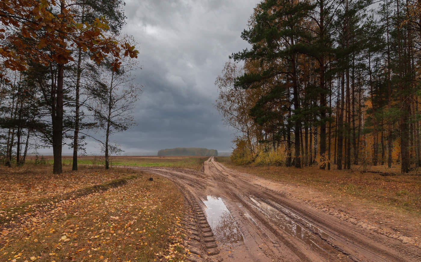 осень...дожди