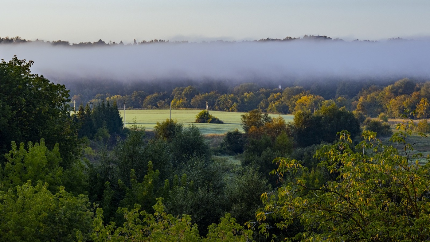 Утренний туман